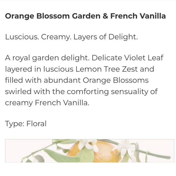 🕯 Fresh Michel Germain Parfum Candle Set - Picture 9 of 15